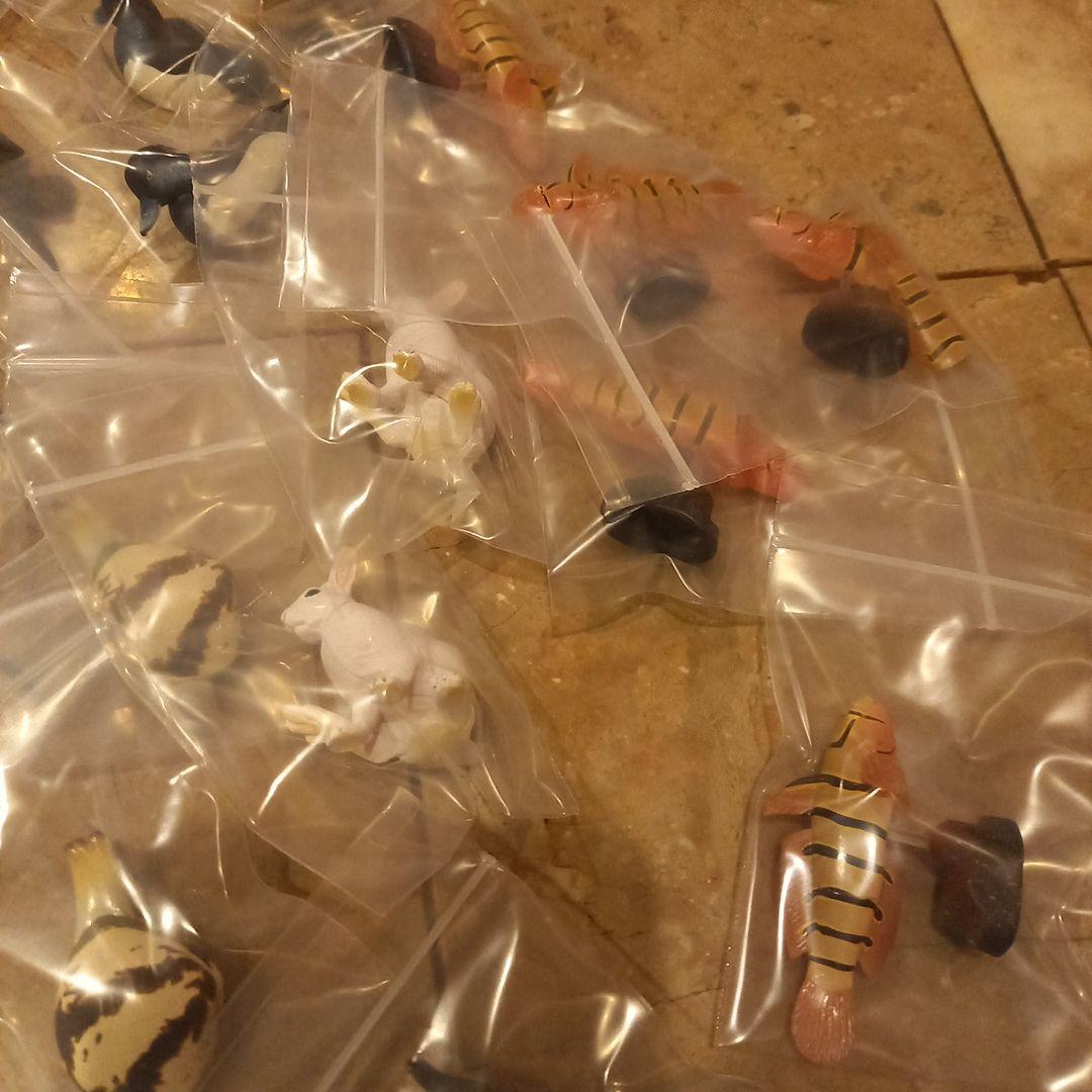 レア☆タカラ☆海洋堂☆チョコQ☆animal series7 ☆22種69点☆ - メルカリ