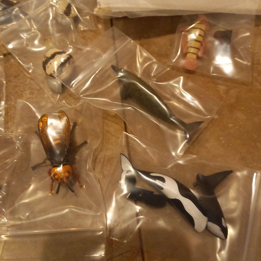 レア☆タカラ☆海洋堂☆チョコQ☆animal series7 ☆22種69点☆ - メルカリ