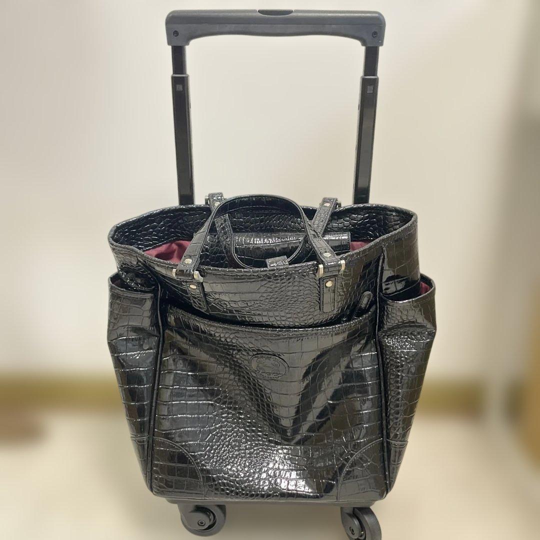 SWANY キャリーカート付きバッグ