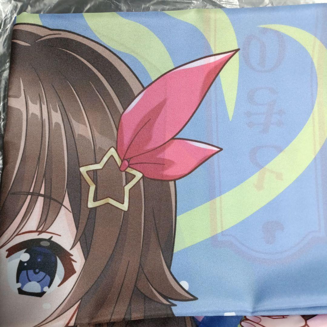 ときのそら 極楽湯・RAKU SPAコラボ フロライフ限定のぼり 当選品 ときのそら 極楽湯・RAKU SPAコラボ フロライフ限定のぼり 当選品