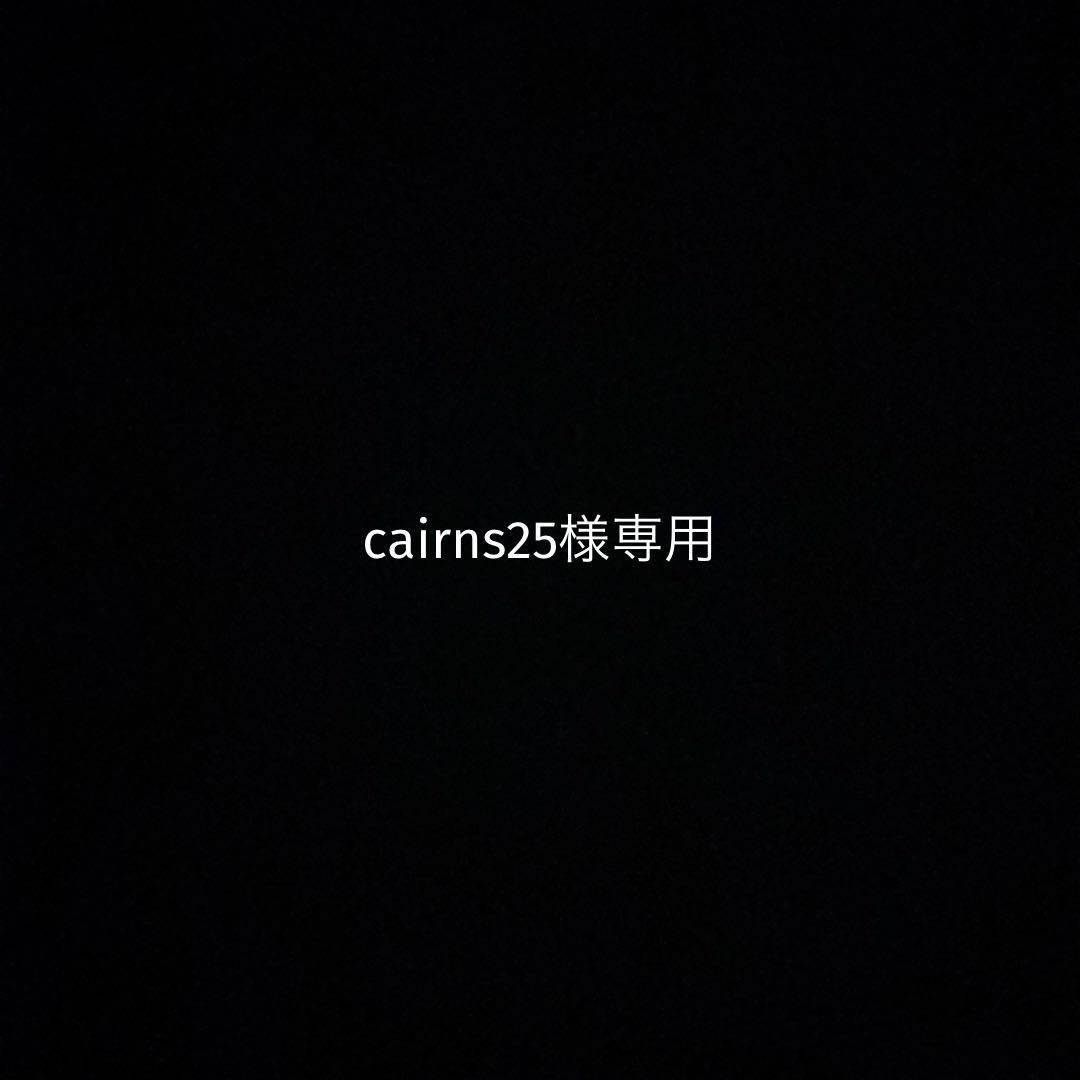 語学・辞書・学習参考書 cairns25 学習参考書｜三省堂