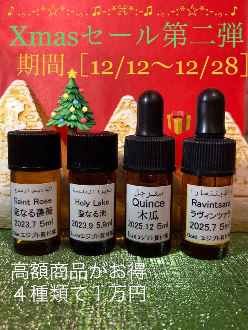 X'masセール第二弾˚✧₊エジプト買付隊₊✧˚期間12/12〜12/28