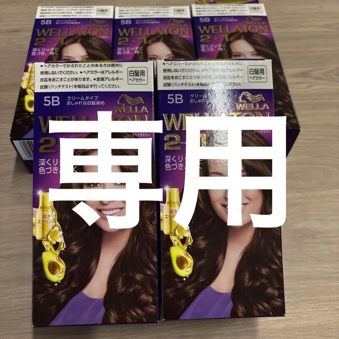 WELLATON 2+1 ヘアカラー 5B 白髪染め　 10個セット