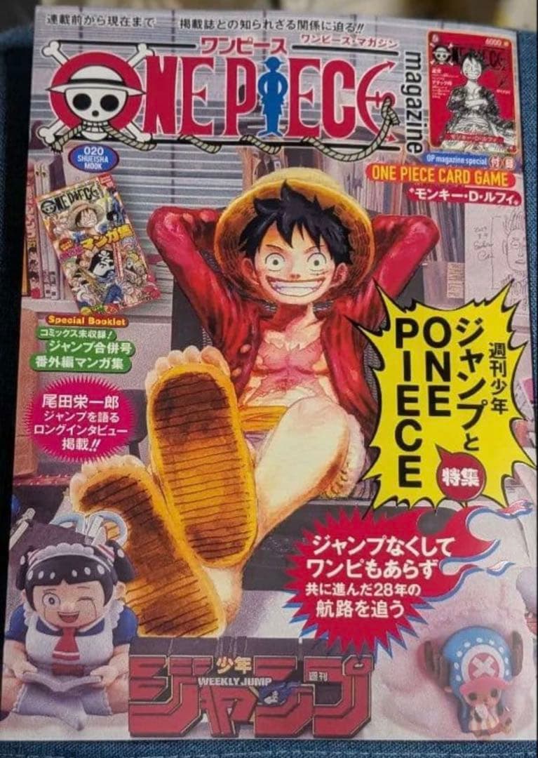 ONE PIECE ワンピースマガジン 20号 プロモルフィ 冊子付き