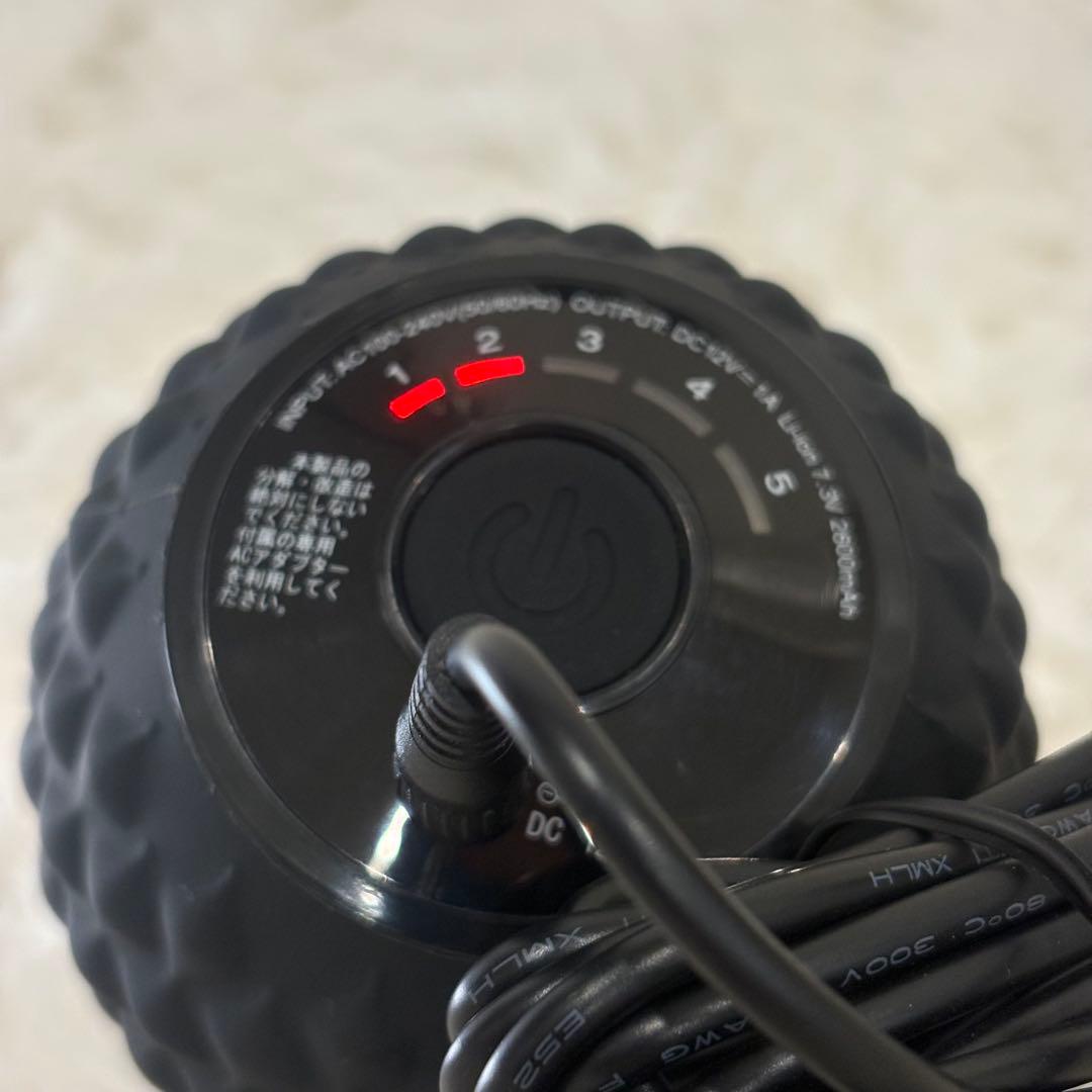 東急スポーツオアシス シェイプツインボール STB-100 フィットネス