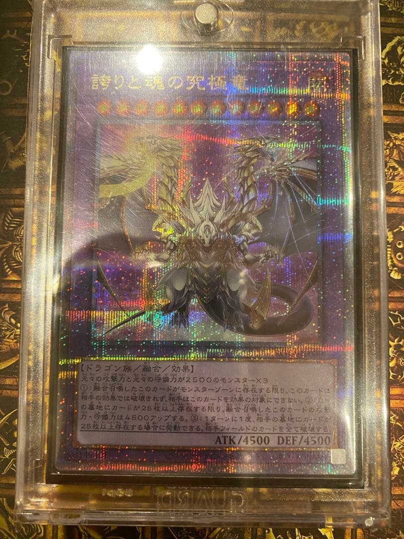 誇りと魂の究極竜 25thシークレット