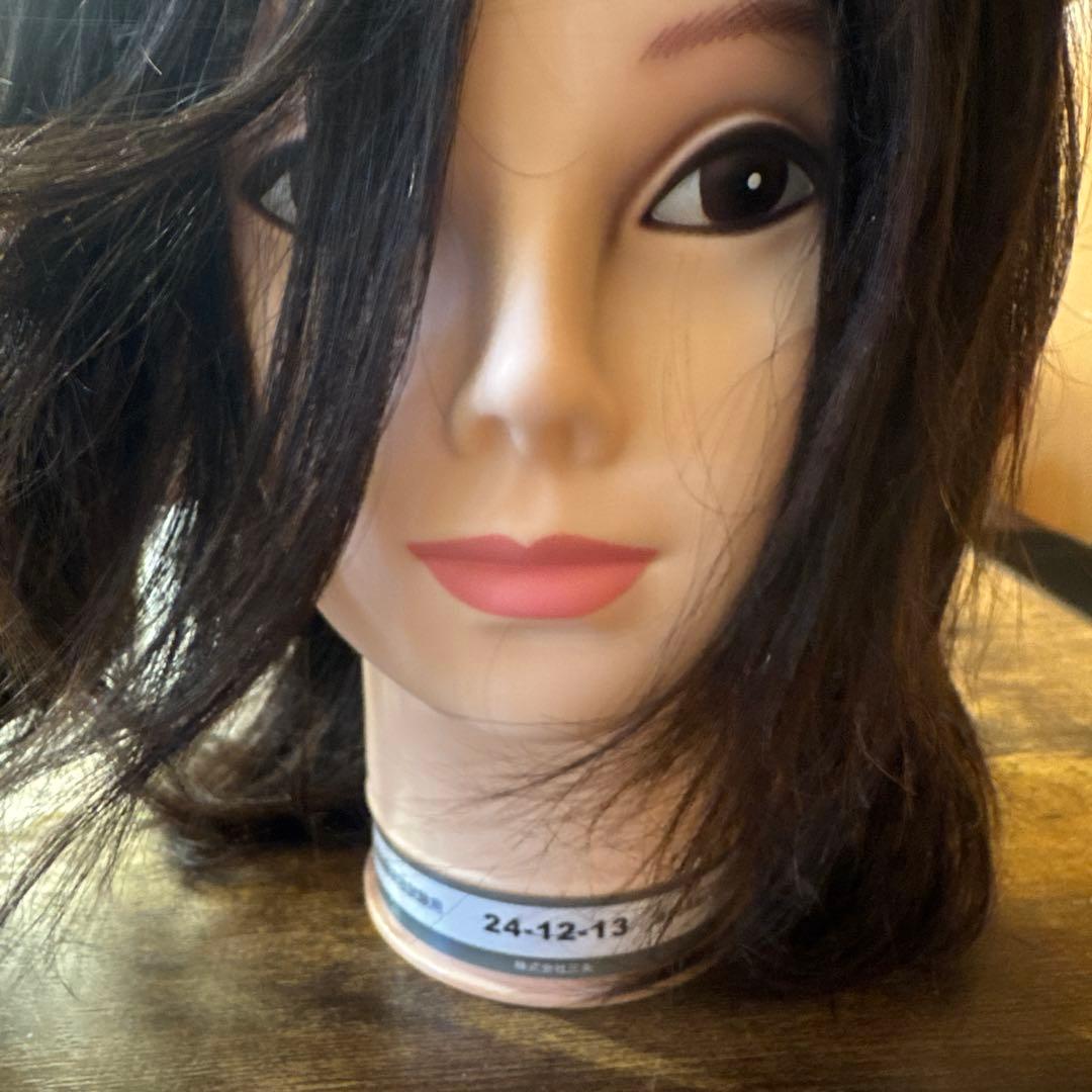 国家試験 国試 カット ウィッグ - メルカリ