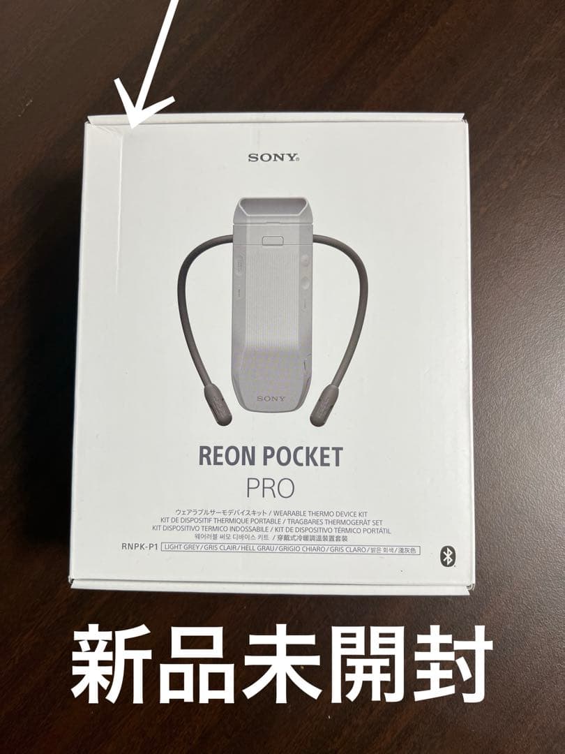 SONY REON POCKET PRO RNPK-P1 レオンポケットプロ