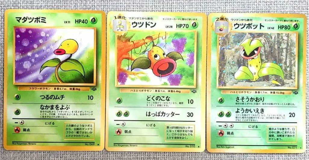 美品・渦巻きホロあり】マダツボミ＆ウツドン＆ウツボット ポケモン