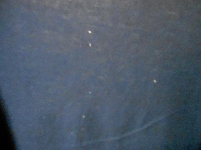 REBECCA レベッカ 2015 横浜アリーナ スタッフクルー Tシャツ