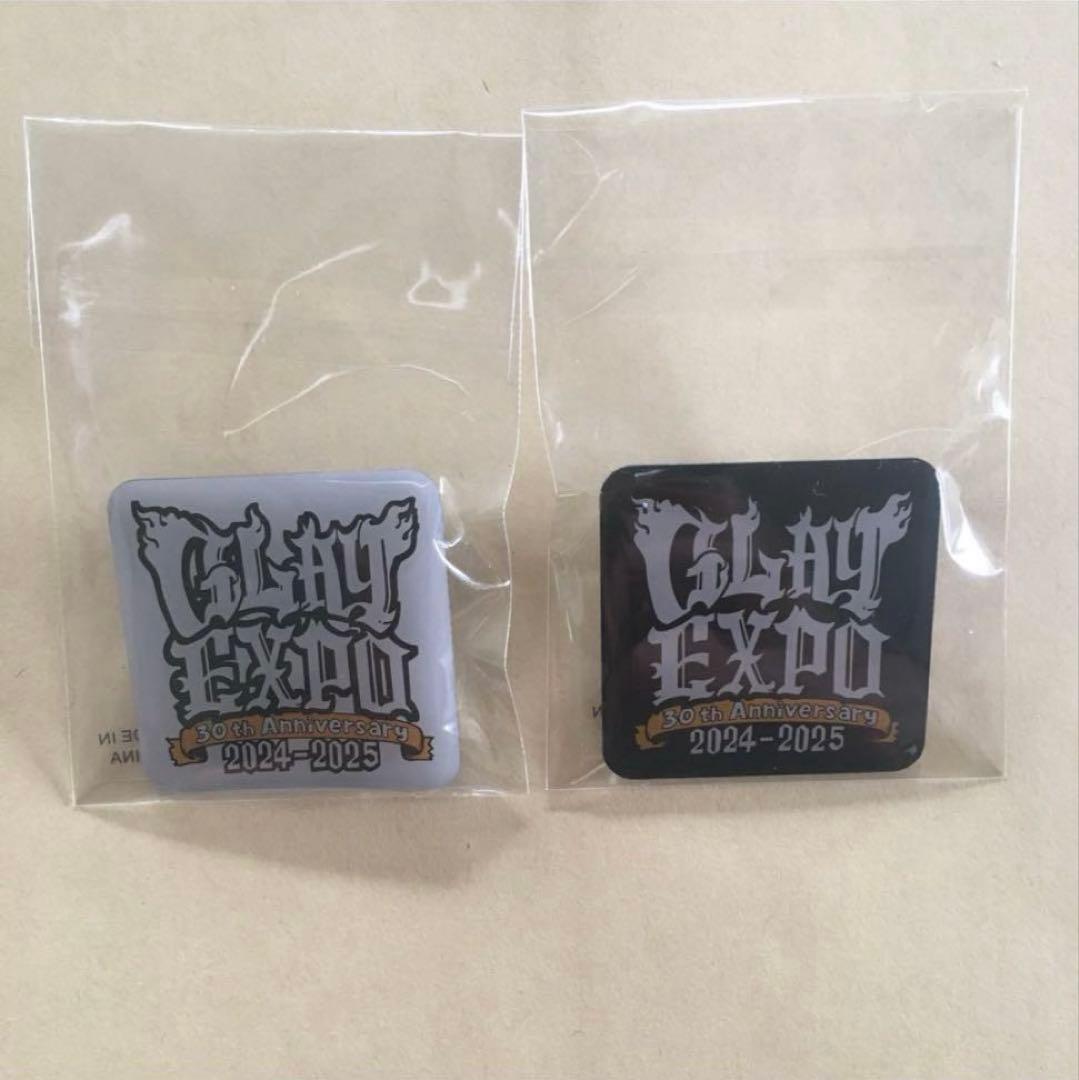 GLAY EXPO 30th Anniversary 2024-2025 ピンズ