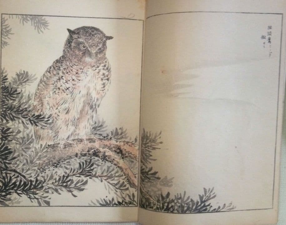 木版画本聚鳥畫譜大正5年再版三冊揃い天、地、人沼田荷舟画初版は明治