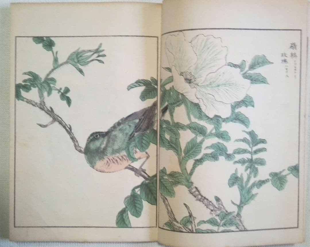 木版画本聚鳥畫譜大正5年再版三冊揃い天、地、人沼田荷舟画初版は明治