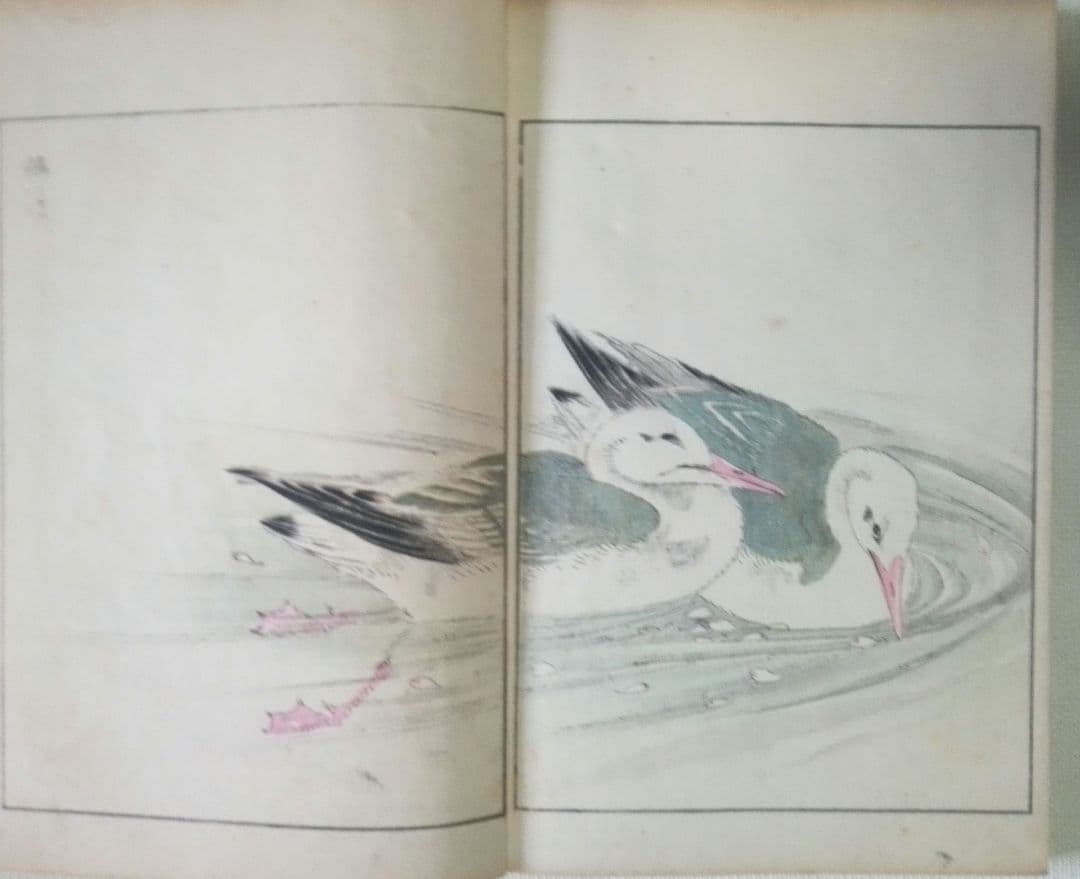 木版画本聚鳥畫譜大正5年再版三冊揃い天、地、人沼田荷舟画初版は明治