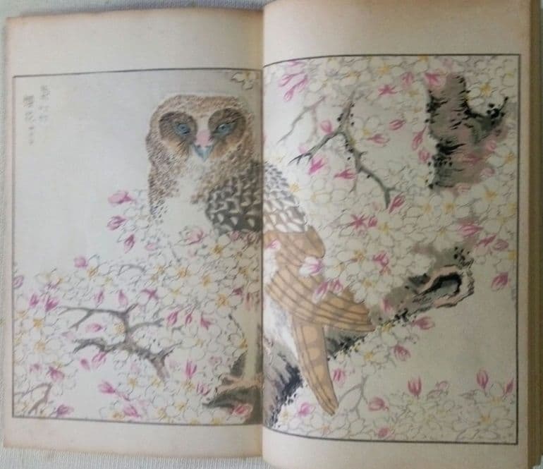 木版画本聚鳥畫譜大正5年再版三冊揃い天、地、人沼田荷舟画初版は明治