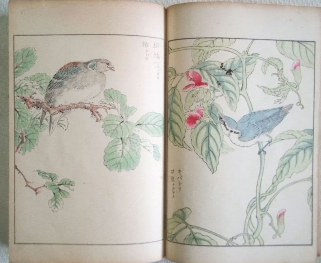 木版画本聚鳥畫譜大正5年再版三冊揃い天、地、人沼田荷舟画初版は明治