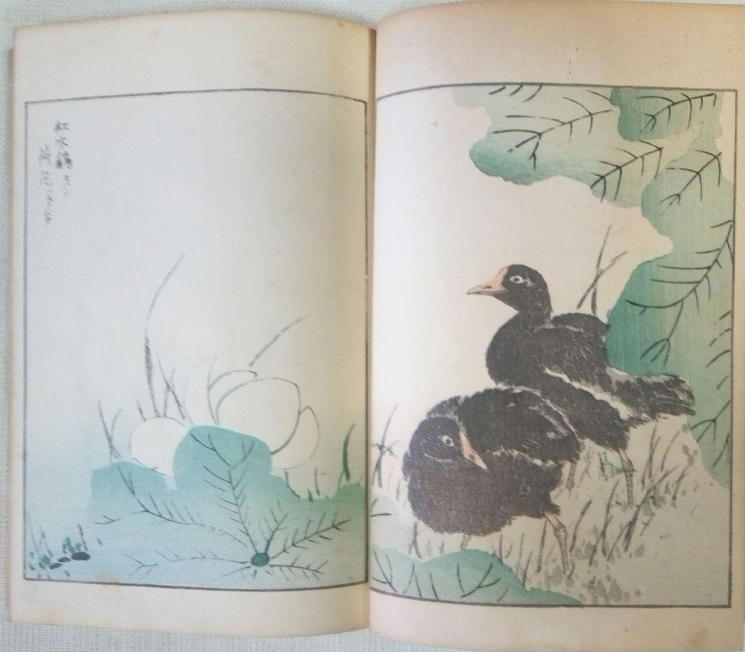 木版画本聚鳥畫譜大正5年再版三冊揃い天、地、人沼田荷舟画初版は明治