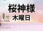 桜神様　木曜日 🌸 桜神宮へ当選のお礼と 神席祈願へ🙏 桜が咲き始めていて春を感じ