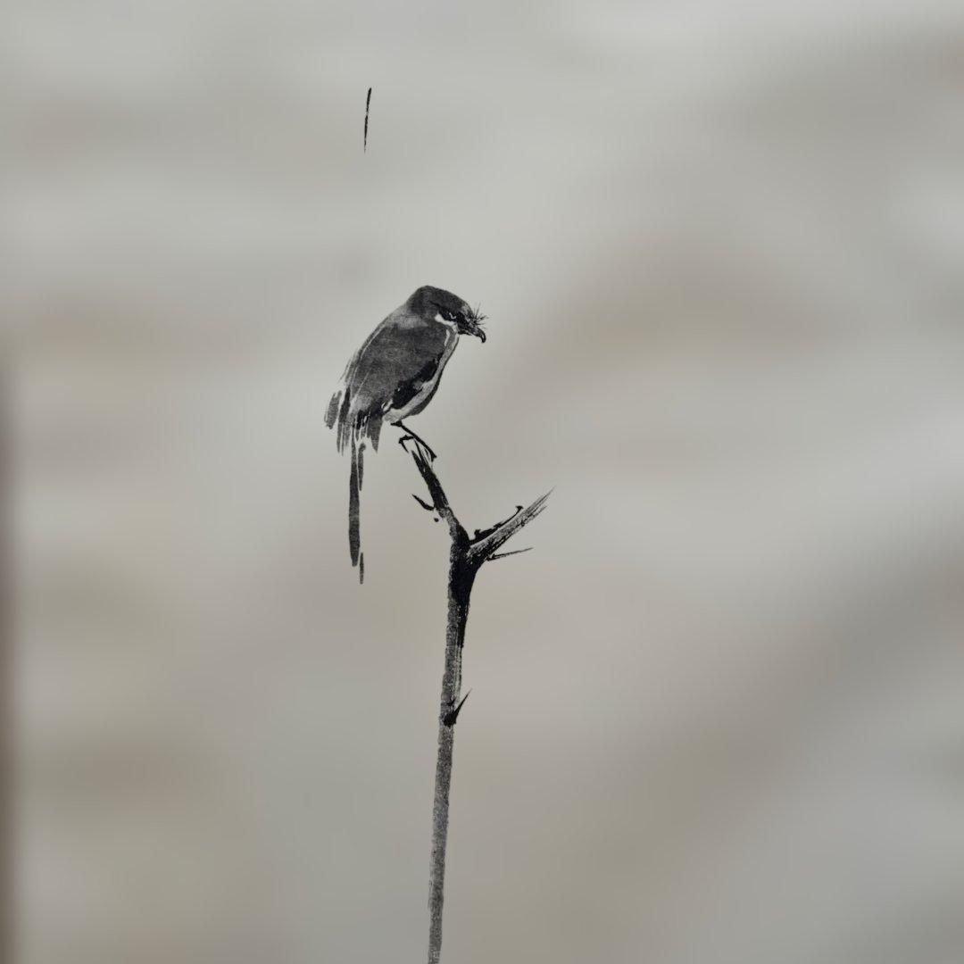 掛軸 宮本武蔵 複製画 枯木鳴鵙図 - メルカリ