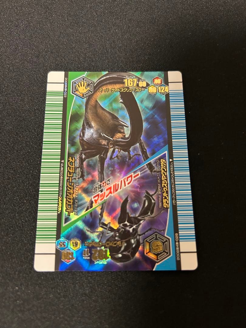 ネプチューンオオカブト タランドゥスツヤクワガタ アダー完結編 タランドゥスオオツヤクワガタ 78mm ペア》 | KPW公式オンラインショップ