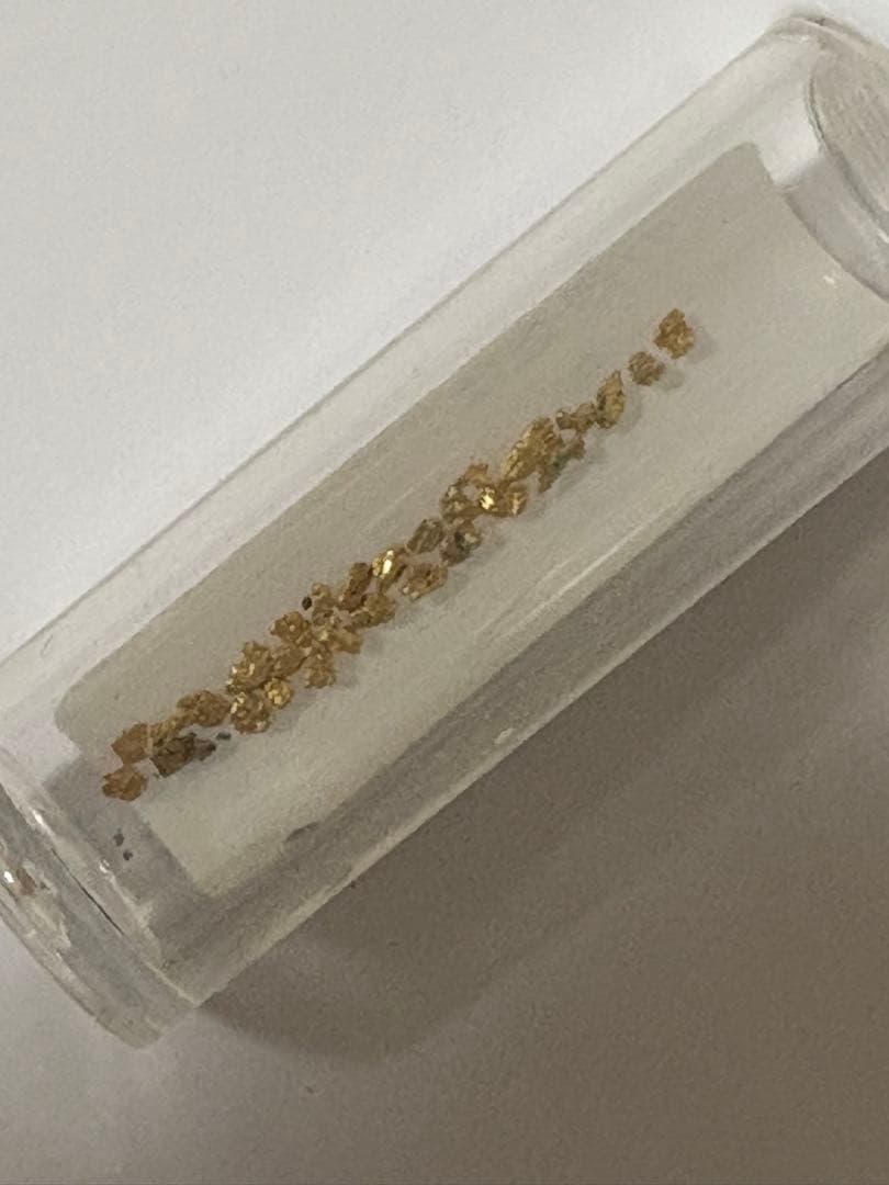 砂金掘り　砂金20粒以上 佐渡西三川ゴールドパーク