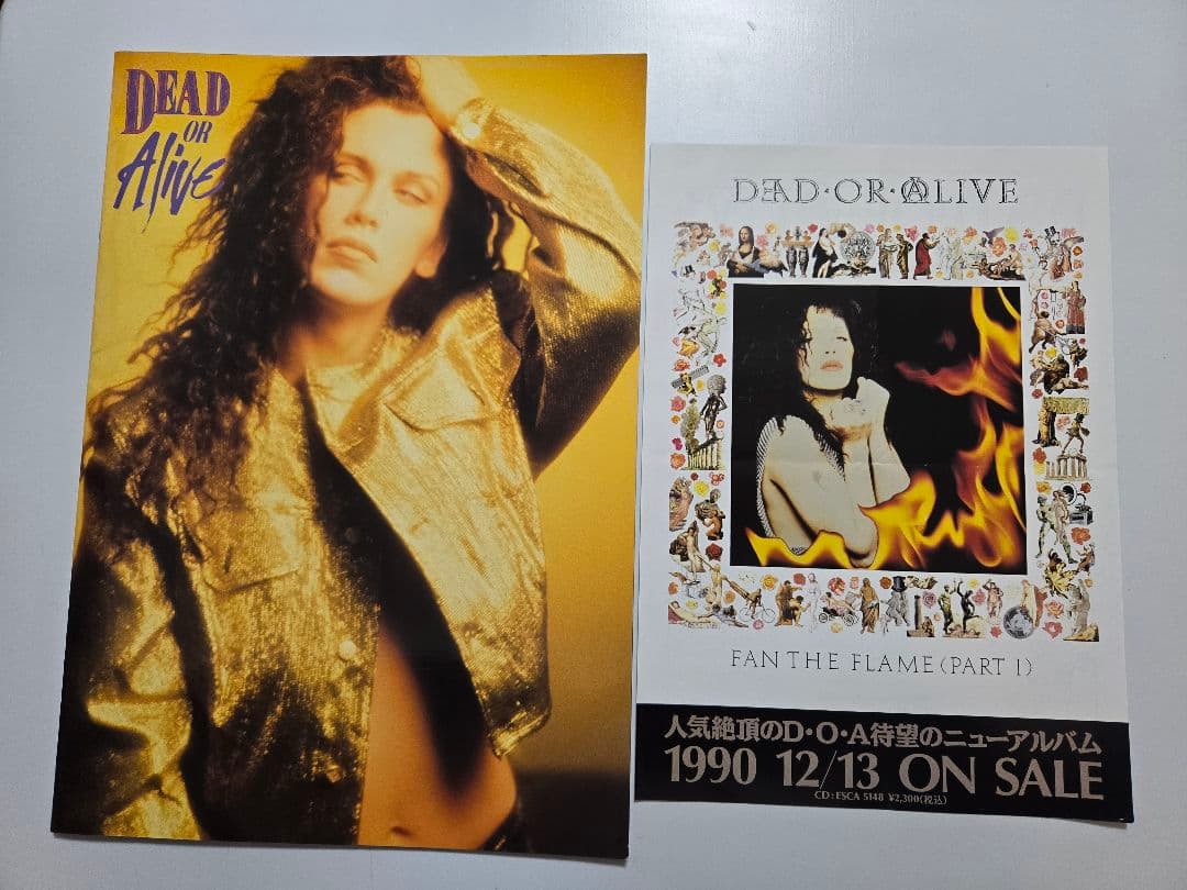 デッドオアアライブ　ツアーパンフ　DEAD OR ALIVE ピート・バーンズ