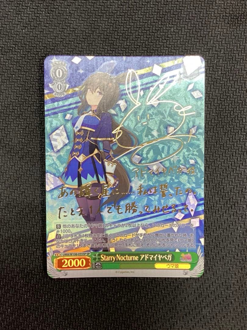 Starry Nocturne アドマイヤベガ SPARS10 Stary Nocturne