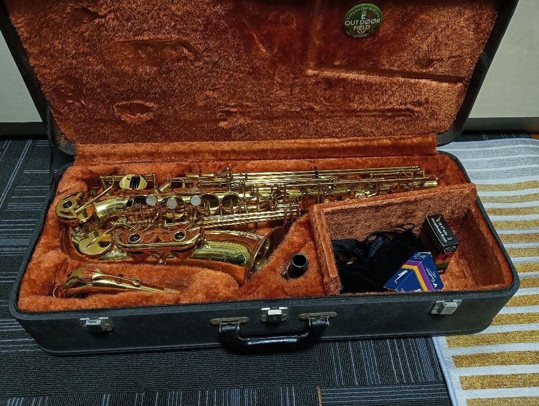 ヤナギサワ　アルトサックス 即納可能！】ヤナギサワアルトサックス「A-WO37PGP」｜島村楽器 Wind