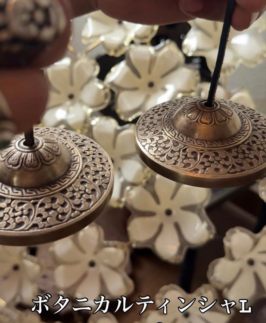 新商品！ボタニカルティンシャＬサイズ