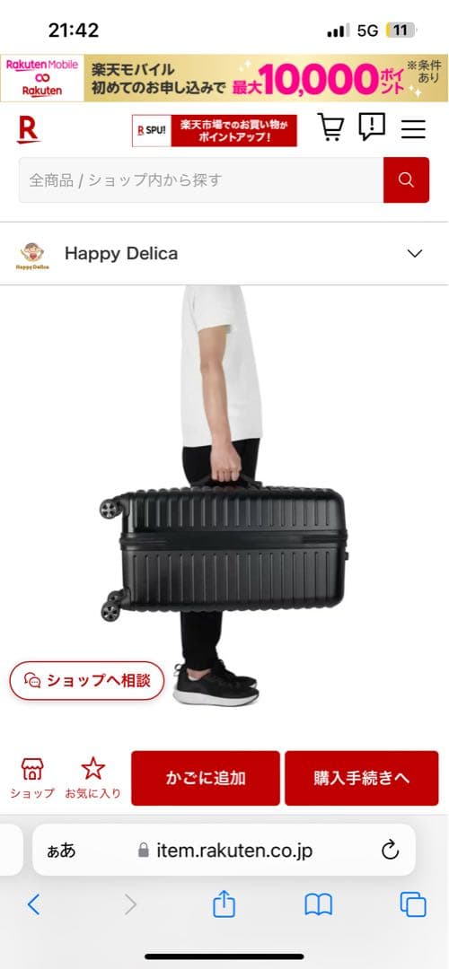 delsey デルセー　8月8日〜15日発送不可