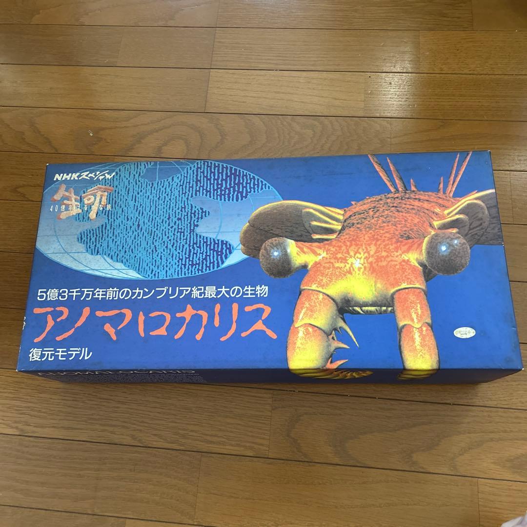 カンブリア紀 アノマロカリス フィギュア 化石 復元モデル NHK