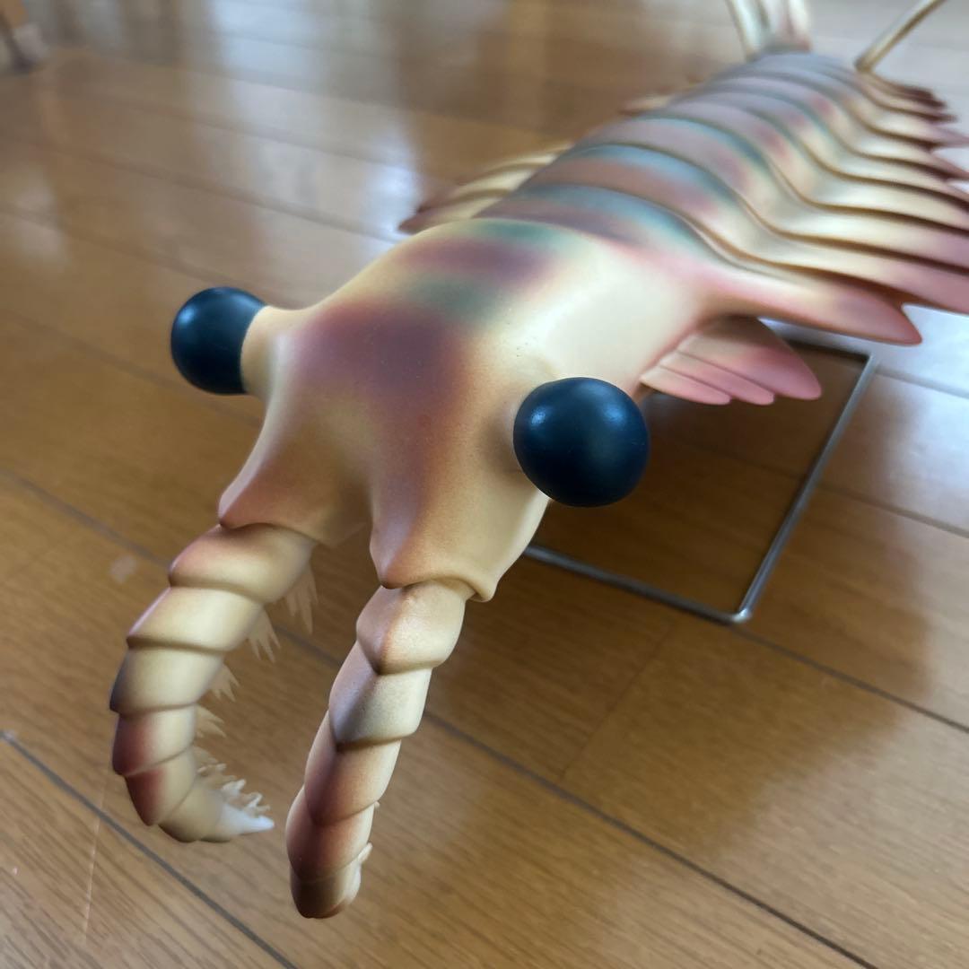 カンブリア紀 アノマロカリス フィギュア 化石 復元モデル NHK