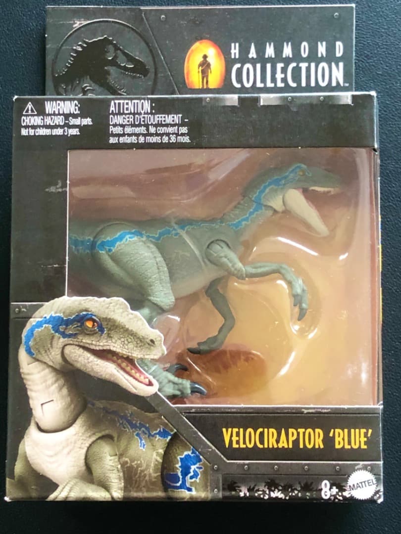 セール ‼️ハモンドコレクション ヴェロキラプトルブルー マテル