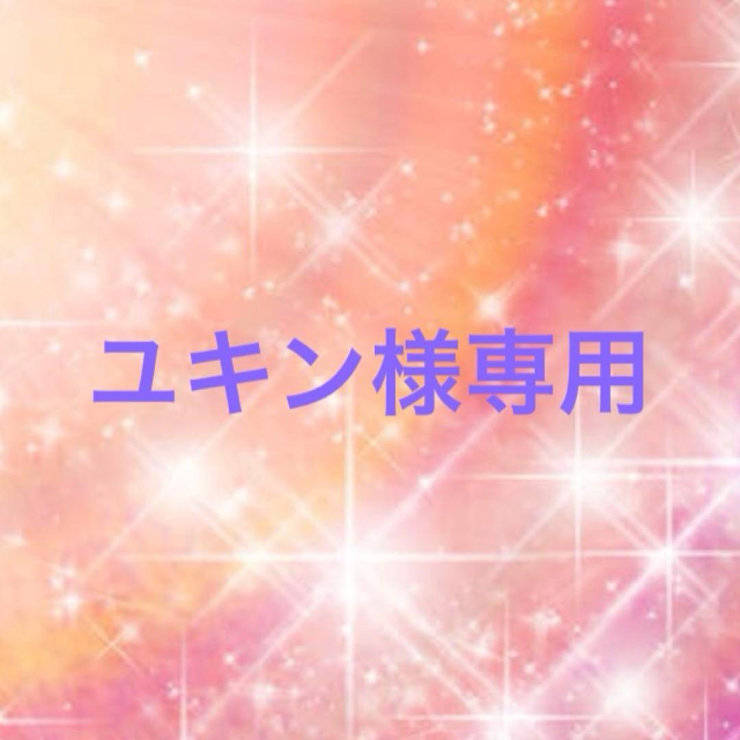 ユキン GJKLM1998 GEMINI JETS KLM / KLMオランダ航空 B737-700W PH-BGI 1