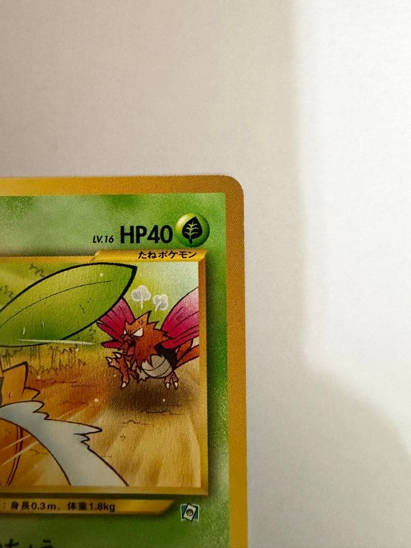 希少・美品】ヒマナッツ_「ポケモンカードになったワケ 4巻」 おまけ