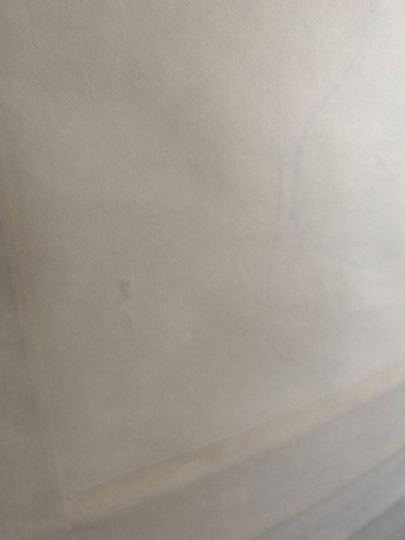 掛軸 長谷川石根作 親を待つ子雀 共箱付 - メルカリ