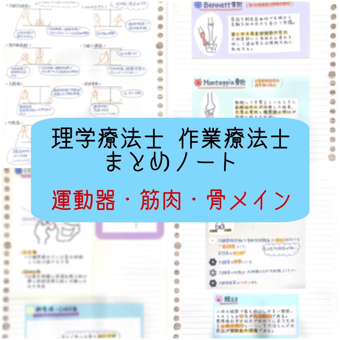理学療法士 作業療法士 まとめノート ふせんノート 【骨・筋肉・解剖学