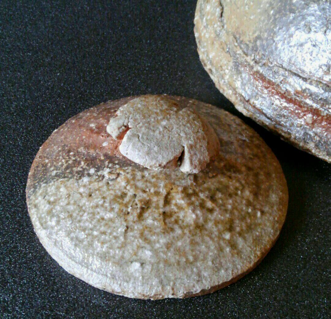 人気作家 眉山窯 沖康史作 焼締 信楽 土瓶形 花入れ 花瓶 オブジェ