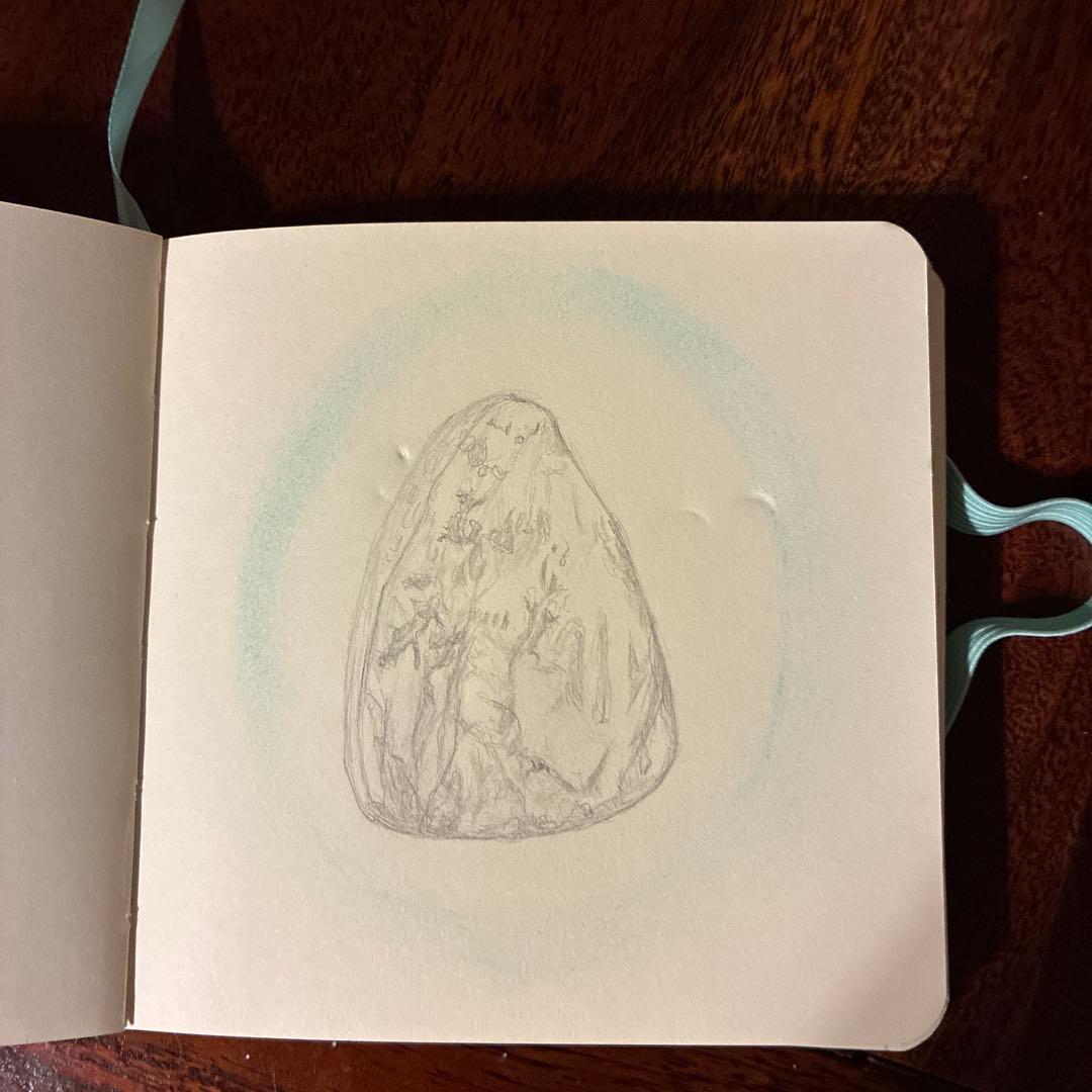 マラカイトやった犯人はイギリスブラックとヒスイコタロウ