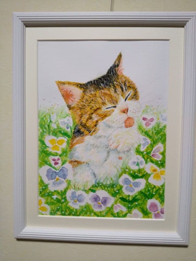 アサちゃんの毛づくろい