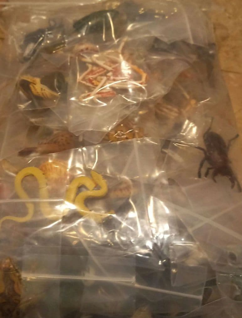 ★タカラ★海洋堂★チョコQ★animal★series6★23種76点セット★