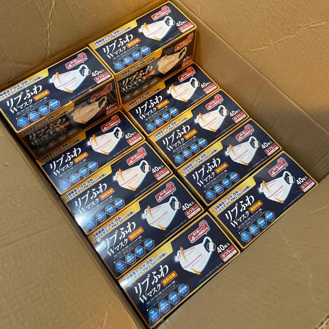 リブふわWマスク　個包装　40枚×22箱　880枚
