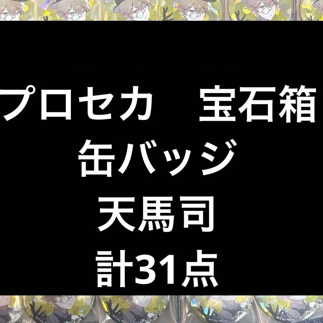 プロセカ　宝石箱　缶バッジ　天馬司　31点
