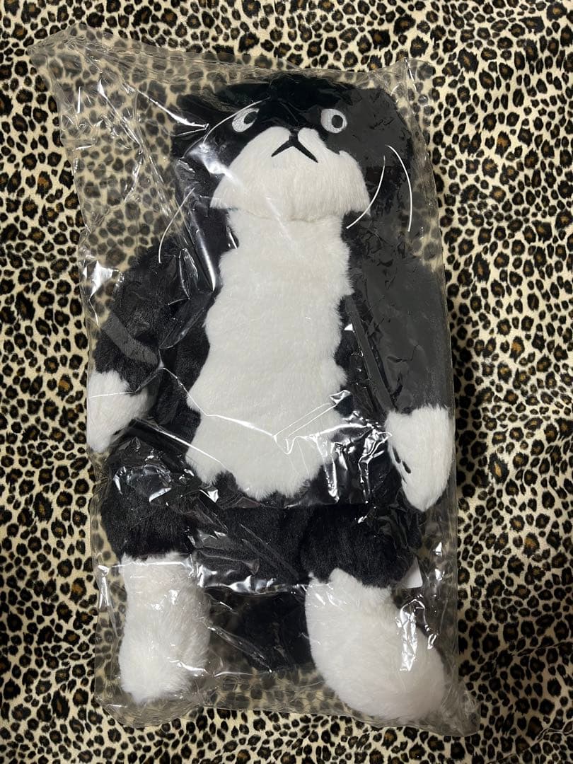値引可アフタヌーンティー チェ・ヨンジュ 猫のモーぬいぐるみ新品未