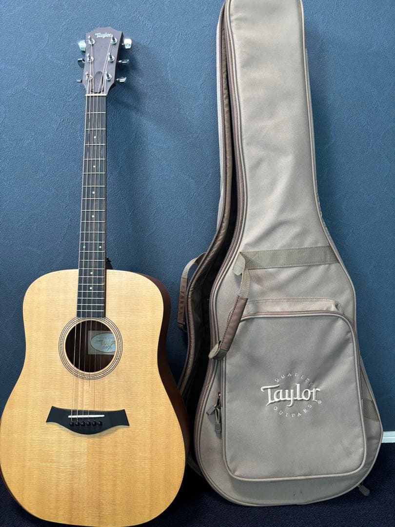 Taylor Academy 10 アコースティックギター