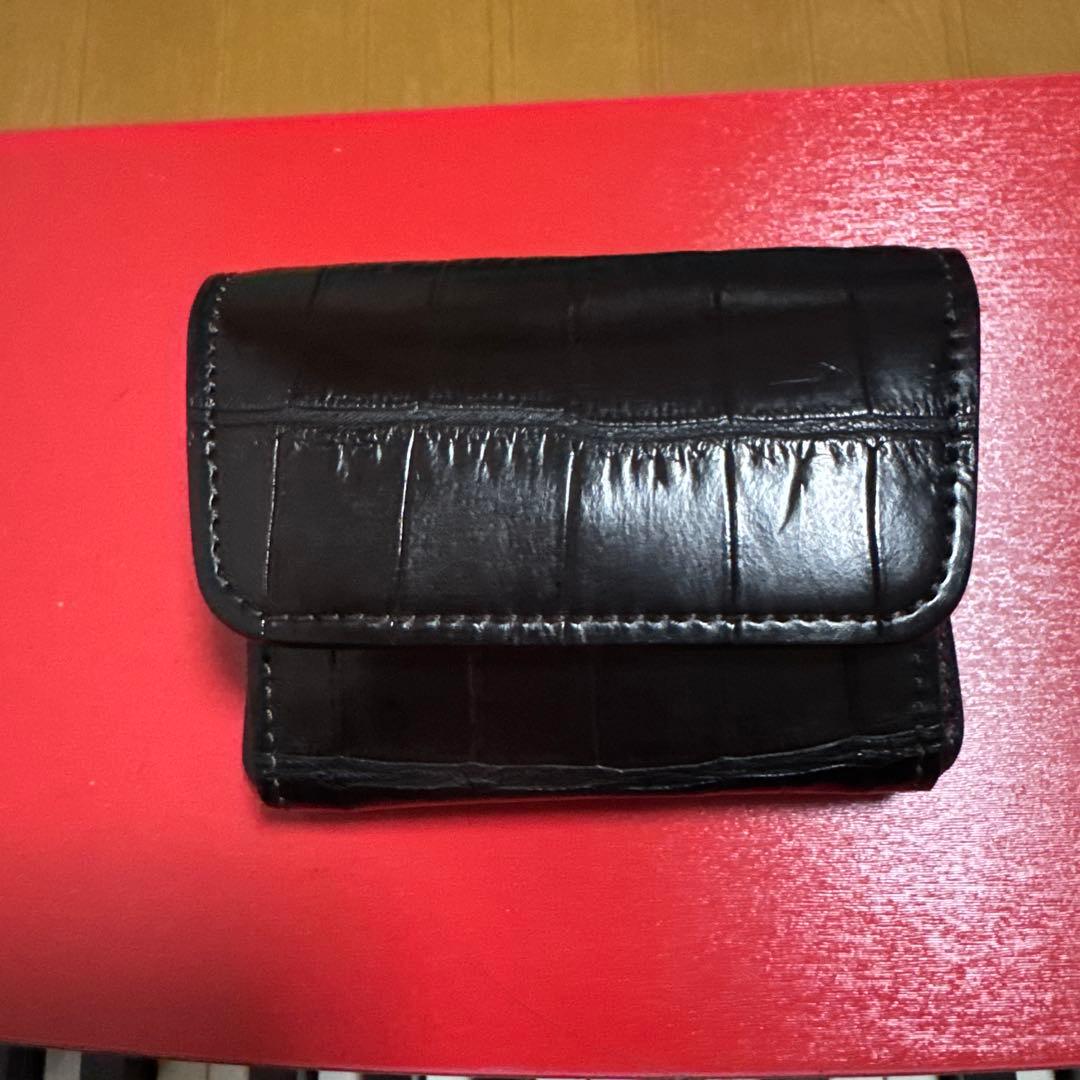 ワイルドスワンズ　　クロコ　アーサー マルチカードケース・CROCODILE / ARTHUR（アーサー）についてのお話