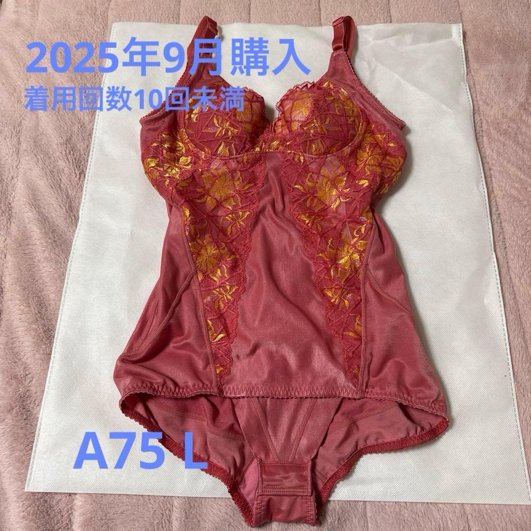 ◇美品◇マルコ 補正下着 カーヴィシャス 限定色ピンク ボディスーツ