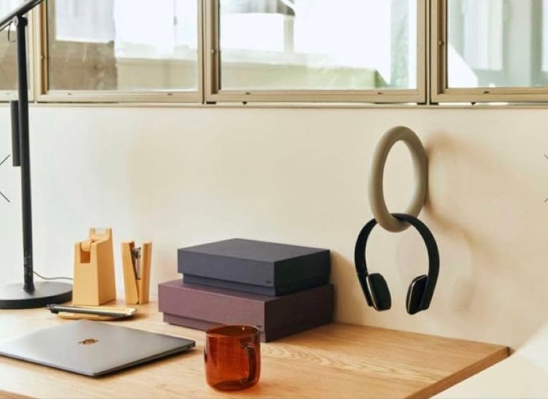 【新品未使用】③HAY GYM HOOK ブラック L ジムフック