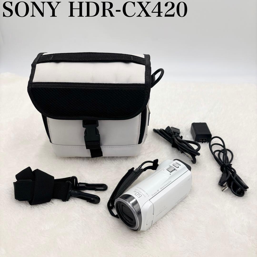 極美品　SONY ハンディカム HDR-CX420 デジタルビデオカメラ