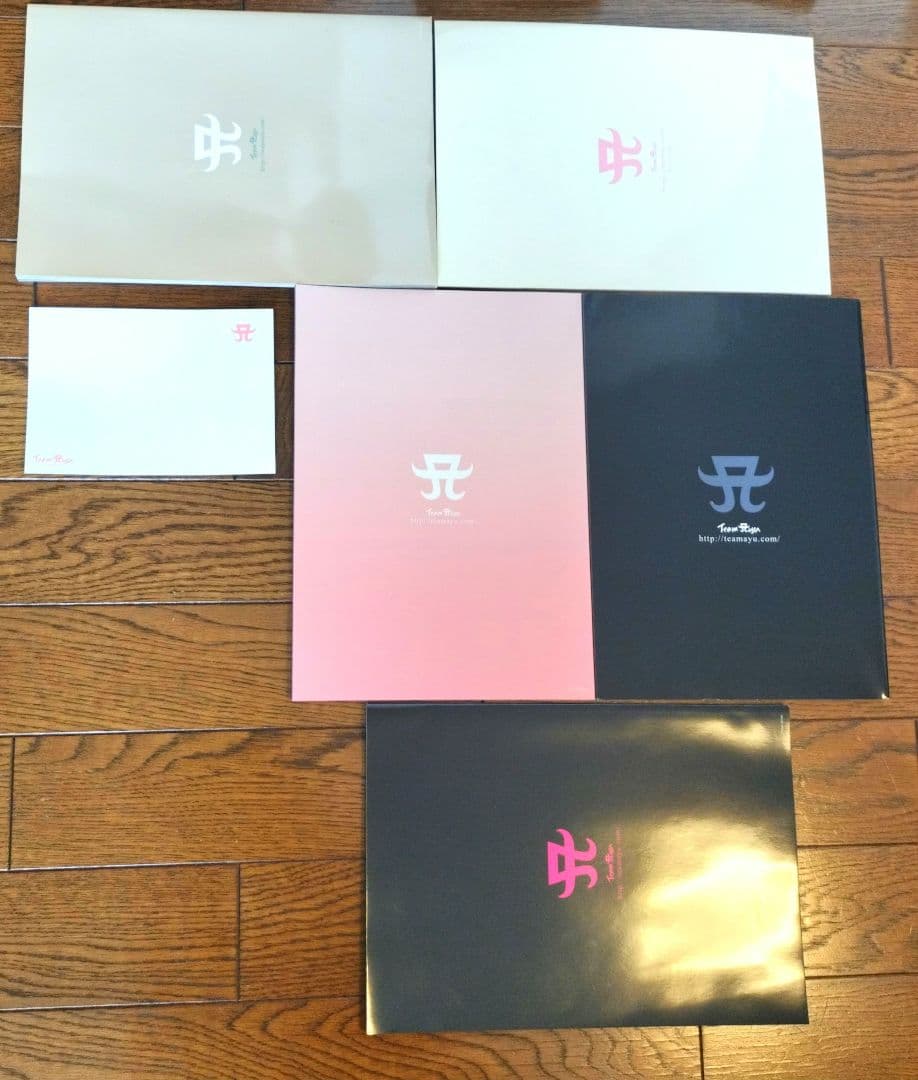 浜崎あゆみ13 公式ファンクラブ チームあゆ 会報 通信 冊子 5冊＋